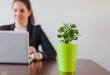 Как принято создавать уют в офисе в 2025-м?