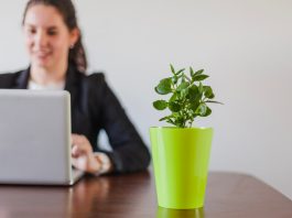 Как принято создавать уют в офисе в 2025-м?