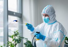 Дезинфекция от клопов: эффективные методы и важные рекомендации