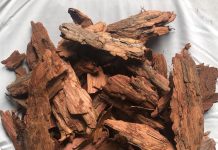 Преимущества коры лиственницы для мульчирования