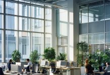 Визовая поддержка: как облегчить процесс получения визы