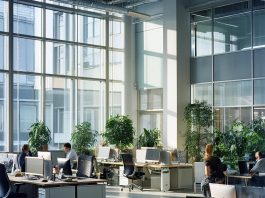 Визовая поддержка: как облегчить процесс получения визы