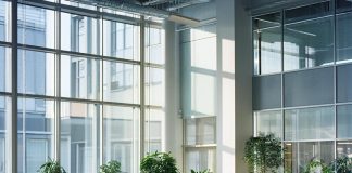 Визовая поддержка: как облегчить процесс получения визы