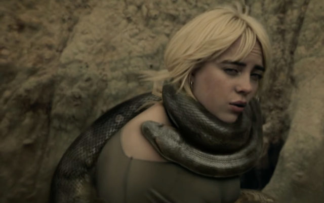 Билли Айлиш опровергла слухи о том, что посвятила песню своему бывшему: «Вам просто нужно заткнуться»