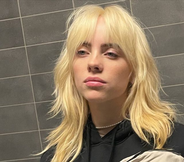 Билли Айлиш опровергла слухи о том, что посвятила песню своему бывшему: «Вам просто нужно заткнуться»