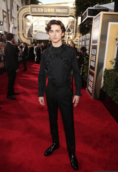 Холостяк: топ фото голливудского актера Тимоти Шаламе